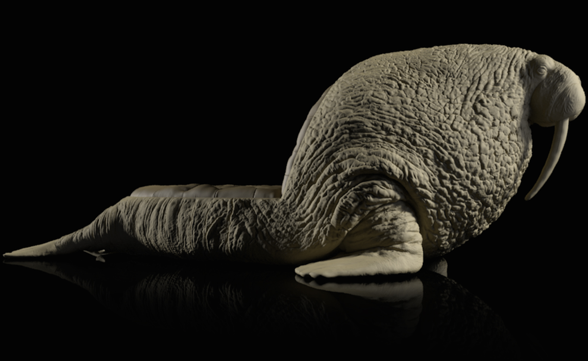 创意安博网页版 - 坐具|休闲椅|办公安博网页版|安博anbo（中国）安博网页版|海象椅