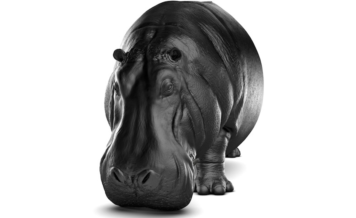 创意安博网页版 - 坐具|休闲椅|办公安博网页版|安博anbo（中国）安博网页版|河马椅