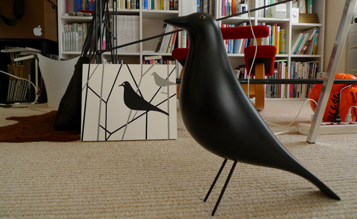 创意安博网页版 - 附件|饰品|办公安博网页版|安博anbo（中国）安博网页版|伊姆斯家居鸟