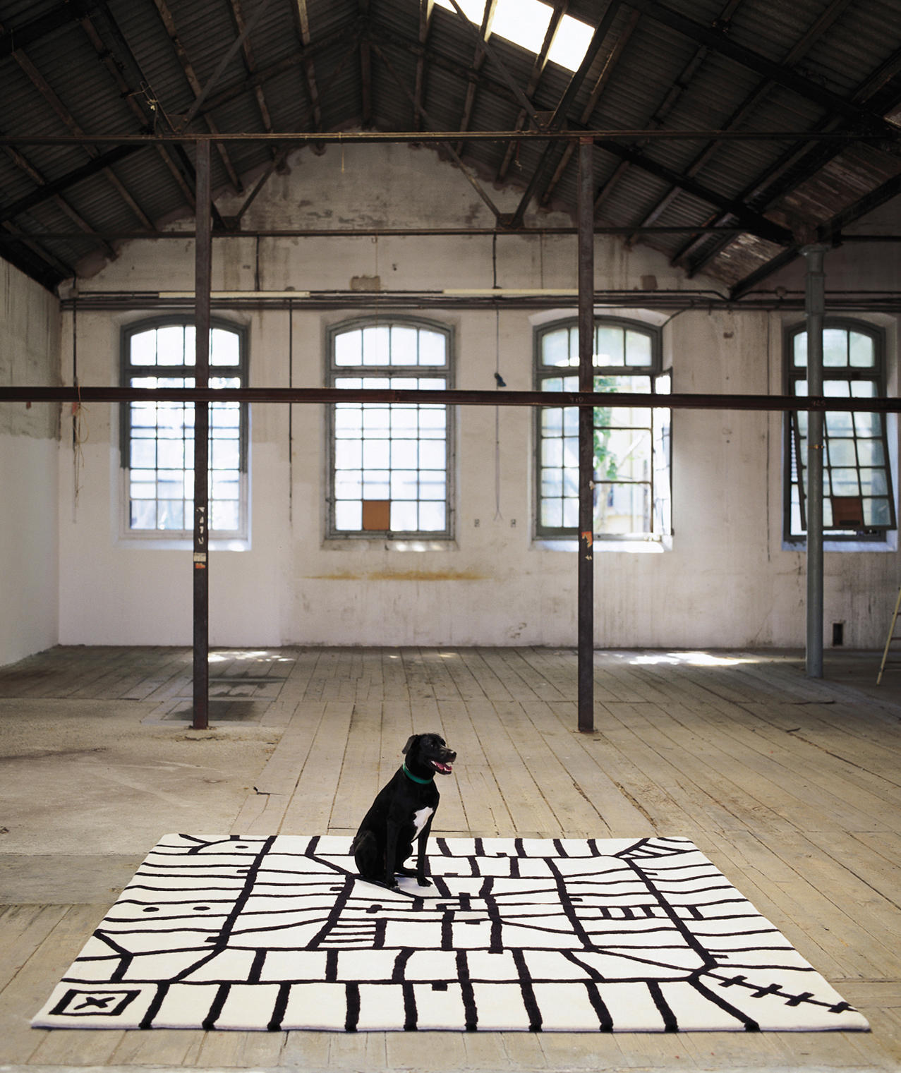 创意安博网页版 - 附件|地毯|办公安博网页版|安博anbo（中国）安博网页版|丛林地狱黑白地毯