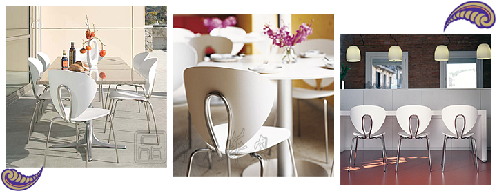 现代经典休闲椅|塑料休闲椅|办公安博网页版|塑料单椅|塑料休闲椅，塑料椅，餐椅，会议椅，洽谈椅，单椅，餐厅椅，咖啡厅椅