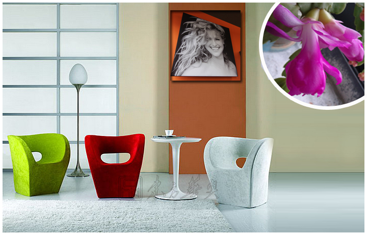 现代经典休闲椅|布面休闲椅|办公安博网页版|小阿尔贝特椅|休闲椅，布面休闲椅，安博anbo（中国）椅，茶餐厅椅，酒吧椅