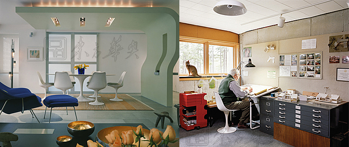 现代经典休闲椅|塑料休闲椅|办公安博网页版|郁金香椅|玻璃钢椅，无扶手郁金香椅，餐椅，休闲椅